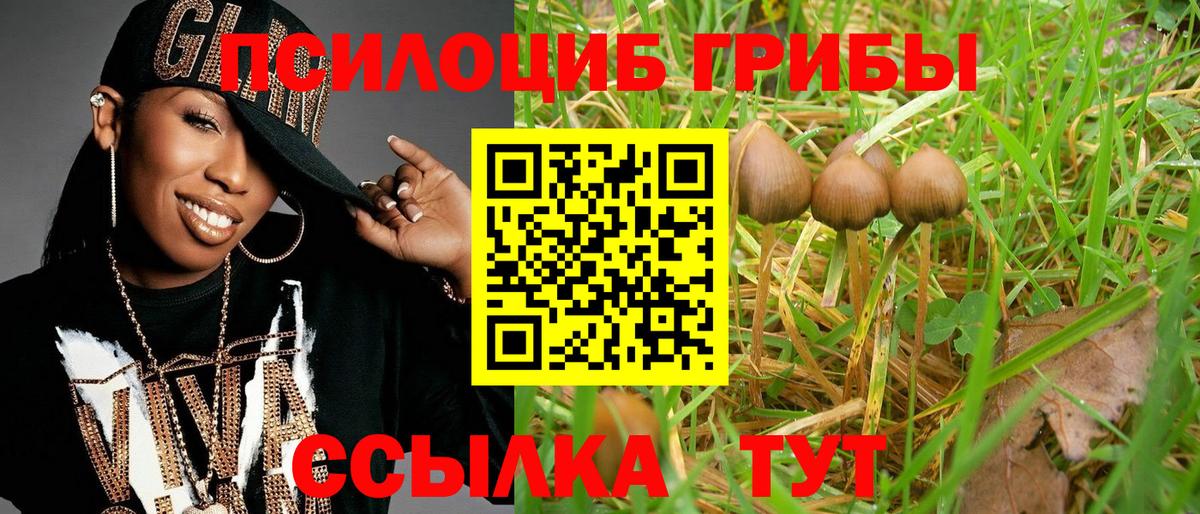 закладка  Псилоцибиновые грибы MAGIC MUSHROOMS  Горячий Ключ  Вход с VPN  Псилоцибиновые грибы MAGIC MUSHROOMS 